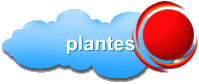 plantes
