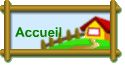 Accueil